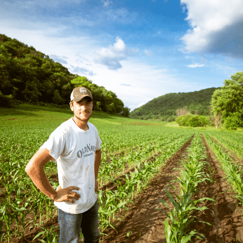 agricultura orgânica e meio ambiente