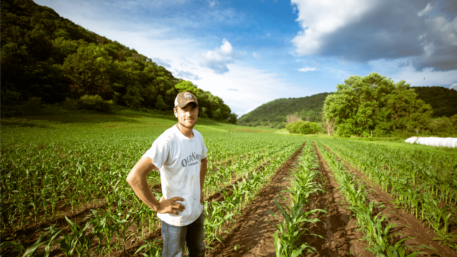 agricultura orgânica e meio ambiente