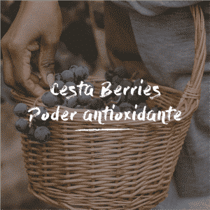 Cesta Berries