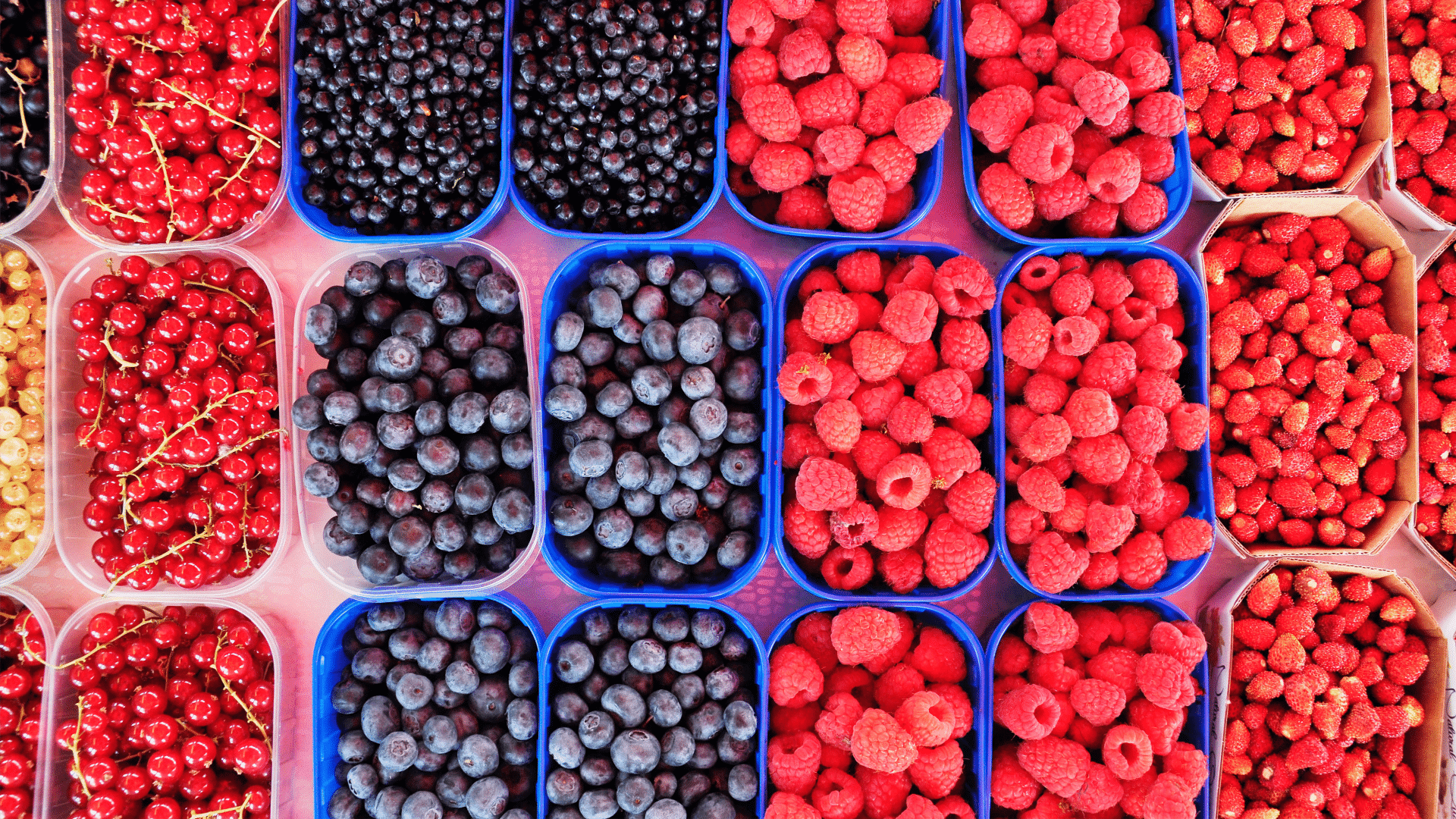 frutas vermelhas e seu poder antioxidante