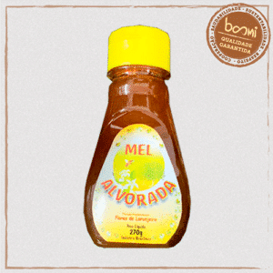 Mel de Laranjeira Alvorada 270g