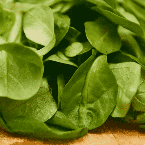 Benefícios e nutrientes do espinafre