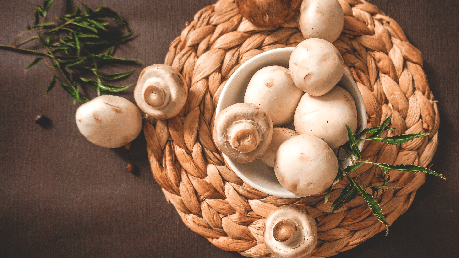 Os benefícios dos cogumelos para a saúde e como consumir