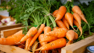 benefícios das cenouras para a saúde e diferentes cores