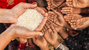 Dia Mundial da Alimentação 2022: não deixe ninguém para trás