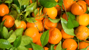 benefícios da tangerina para a saúde