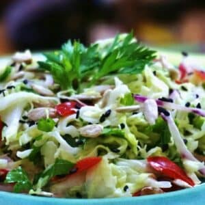 Salada de repolho com gergelim e sementes de girassol