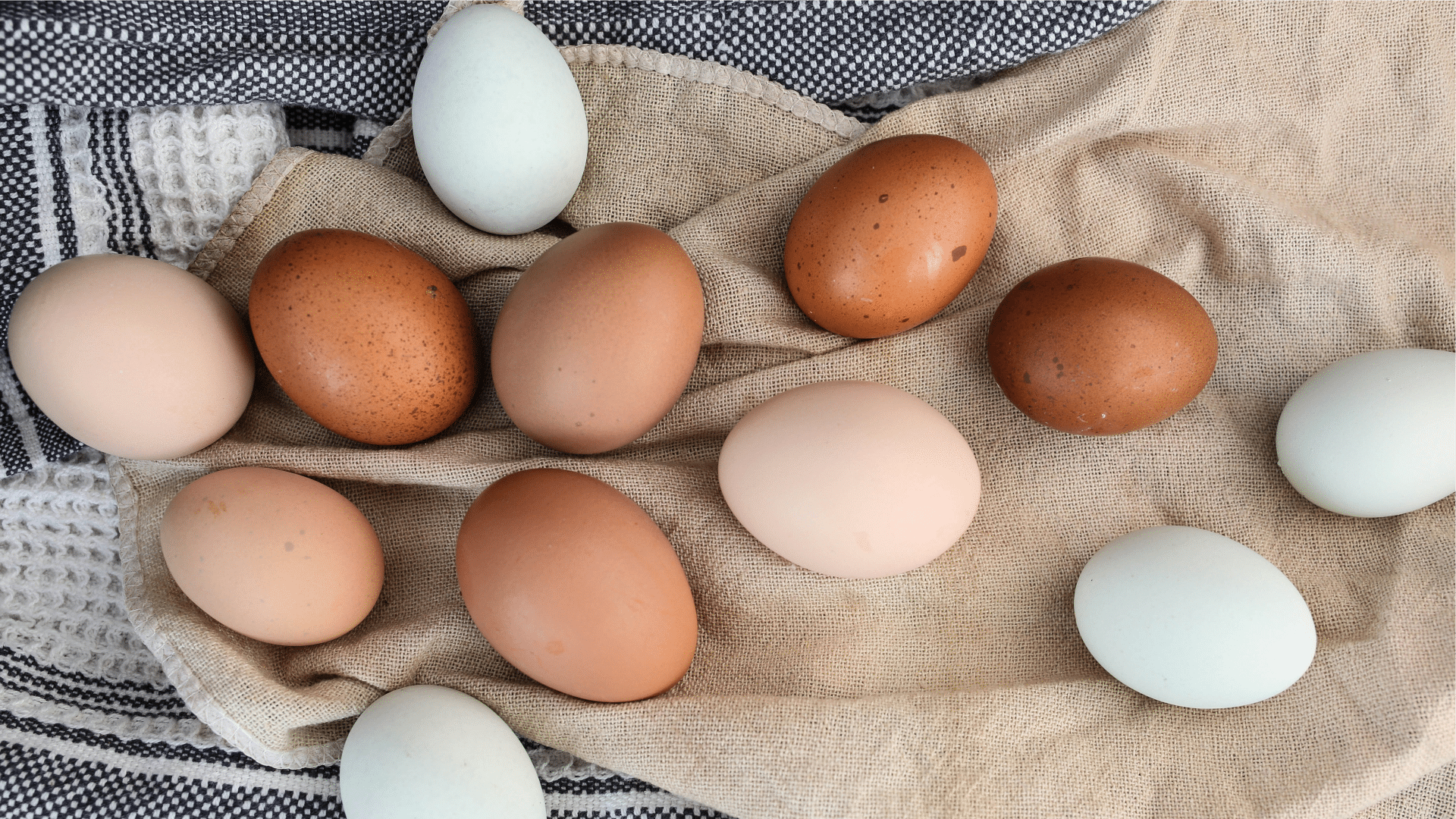 Quais as diferenças entre os ovos caipira e os ovos de granja?