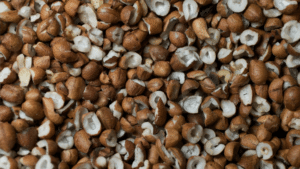 Valor nutricional da amêndoa de licuri